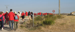 bordecorex_atalayas_0104