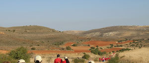 bordecorex_atalayas_0128