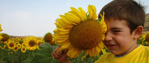 bordecorex_atalayas_0155