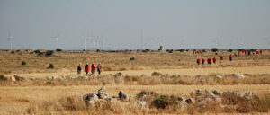 bordecorex_atalayas_0233