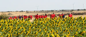 bordecorex_atalayas_0240