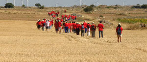 bordecorex_atalayas_0252