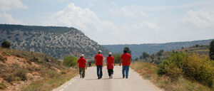 bordecorex_atalayas_0287