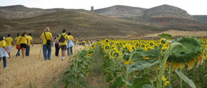 bordecorex_atalayas_1095