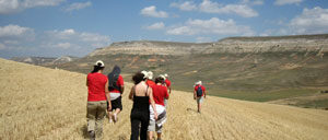 bordecorex_atalayas_2313