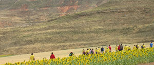 bordecorex_atalayas_2873