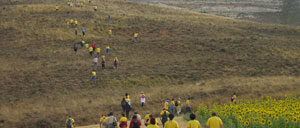 bordecorex_atalayas_2876