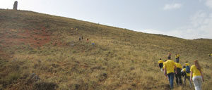 bordecorex_atalayas_2894