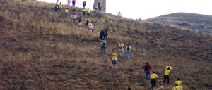 bordecorex_atalayas_3625