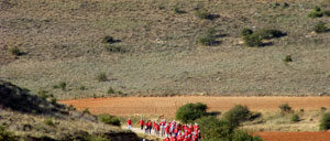 bordecorex_atalayas_4122