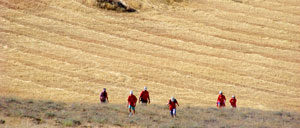 bordecorex_atalayas_4143