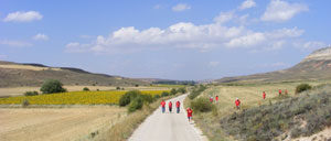 bordecorex_atalayas_4299