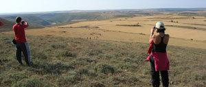 bordecorex_atalayas_8305